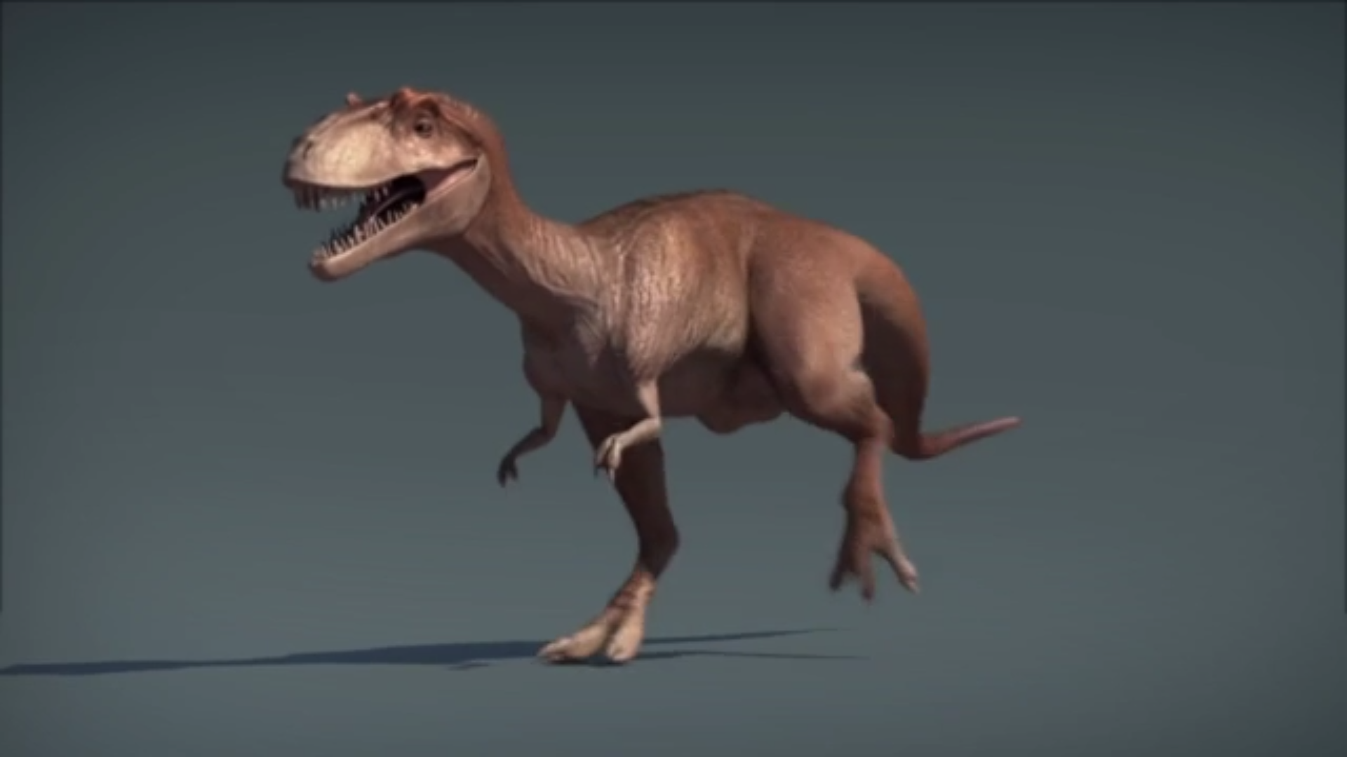 3Dホログラム動画閲覧サイト