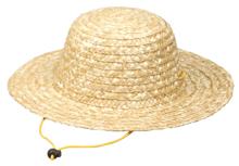 麦わらぼうしミニ