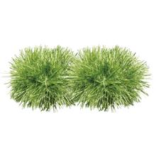 キラキラリストバンド　ライトグリーン