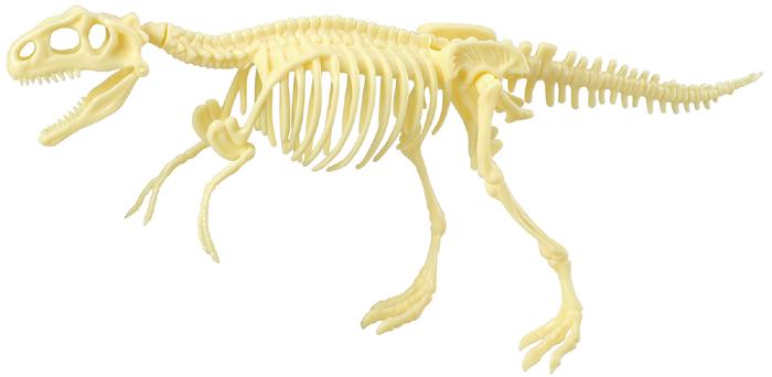 化石発掘キット　ティラノサウルス2