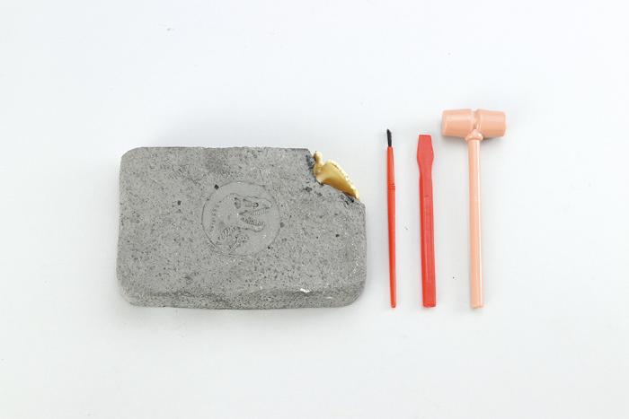 化石発掘キット　ティラノサウルス3