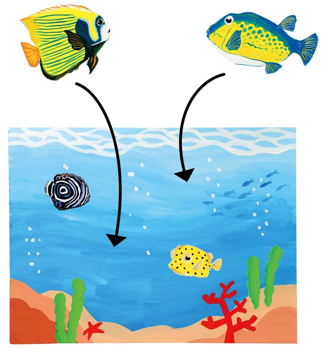 お絵かきマグネットシート　A41