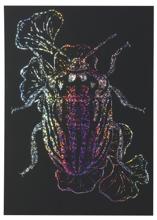 ホログラムスクラッチボード　190×265mm