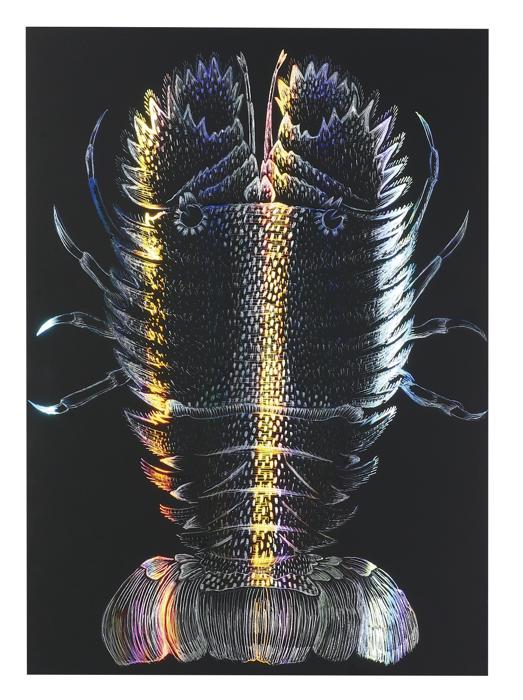 ホログラムスクラッチボードⅡ　150×200mm0