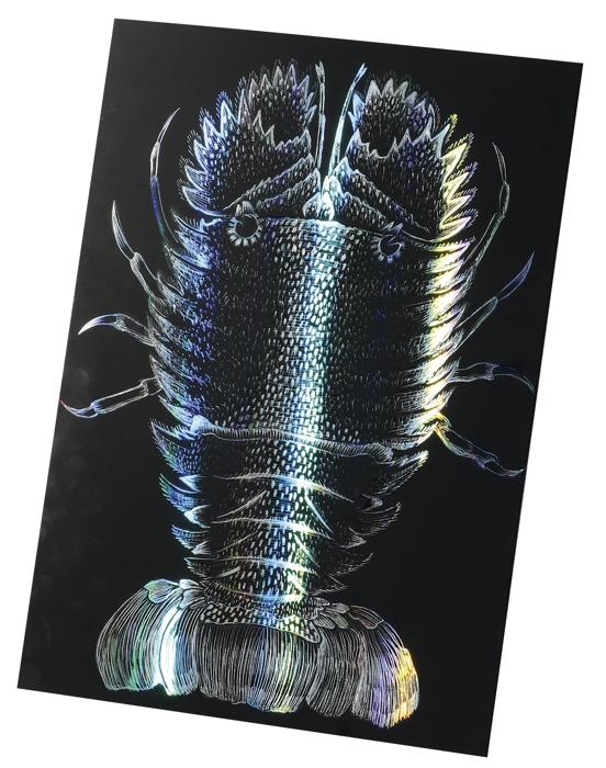 ホログラムスクラッチボードⅡ　150×200mm1