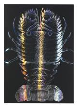 ホログラムスクラッチボードⅡ　190×265mm