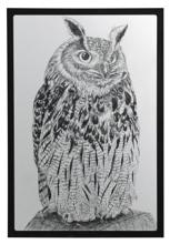 黒色ベーススクラッチボード　シルバー