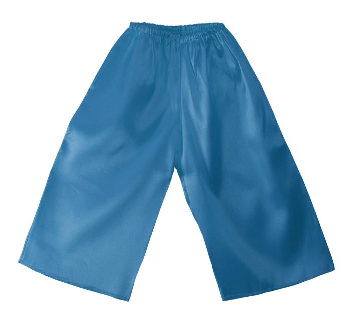 セット衣装　ズボン　青　J2