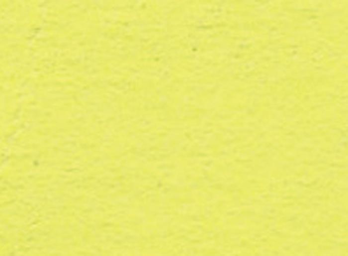 ニューカラー4切　フラッシュレモン　10枚0