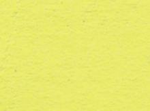 ニューカラー4切　フラッシュレモン　10枚