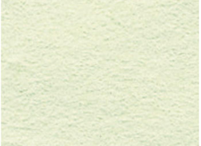 ニューカラー8切　メロン　100枚0