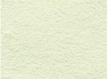 ニューカラー8切　メロン　100枚