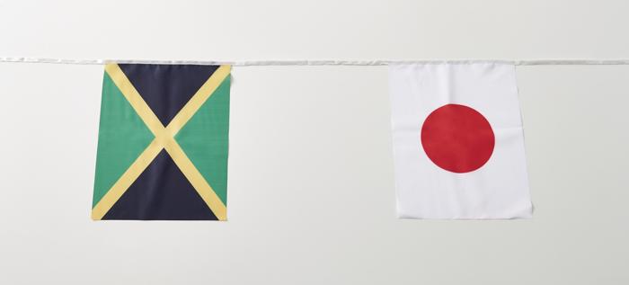 万国旗（縦柄）20枚1組1