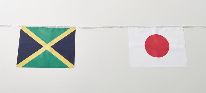 万国旗（横柄）20枚1組1