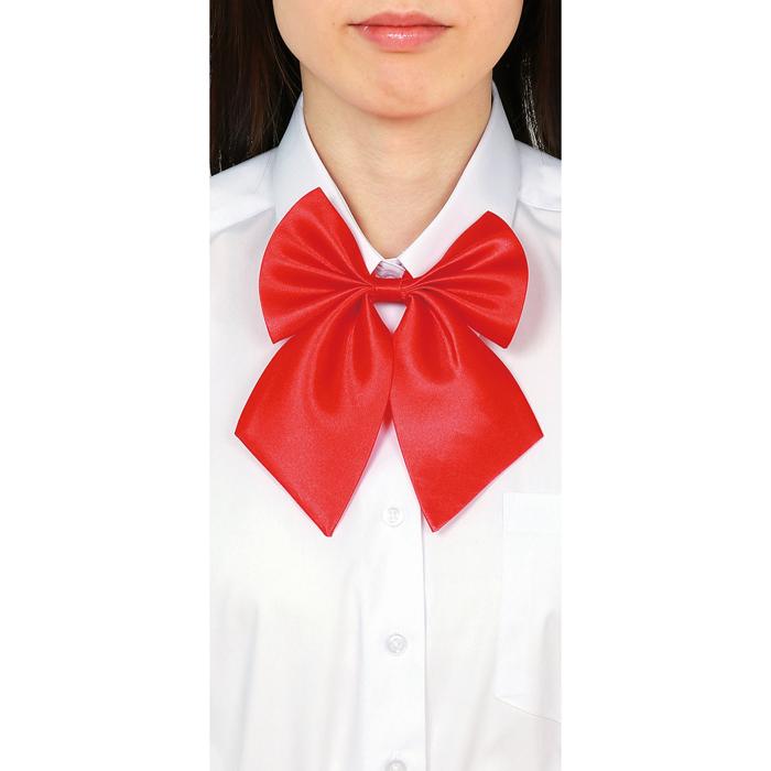 スクールリボン　レッド1