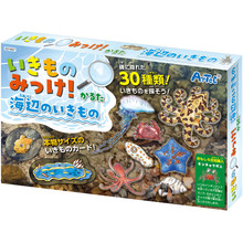 いきものみっけ！かるた　海辺のいきもの