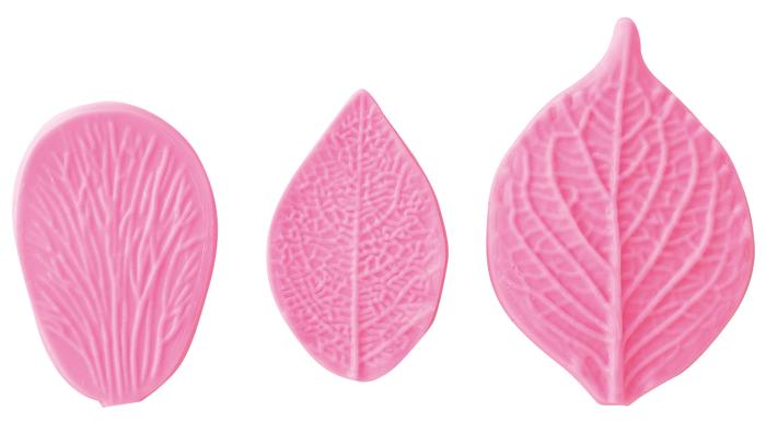 葉脈押し型　5種セット0