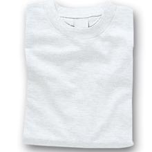 カラーTシャツ　ホワイト　L