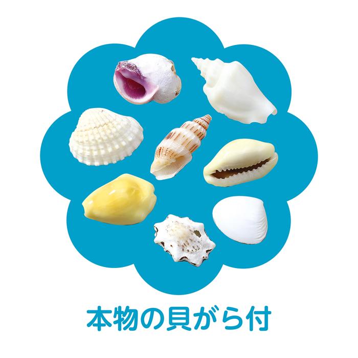 手づくり海キャンドル4