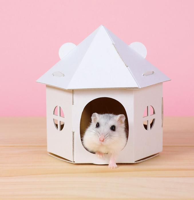 ハムスターハウス　クラフトキット1
