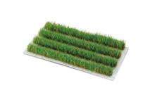 ミニチュアジオラマ素材　田んぼの稲　青田