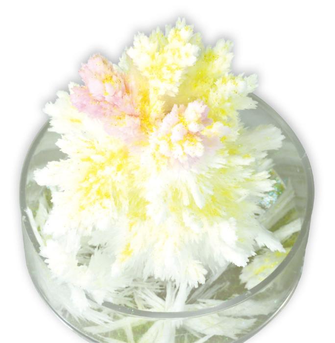 光る！結晶づくり！2