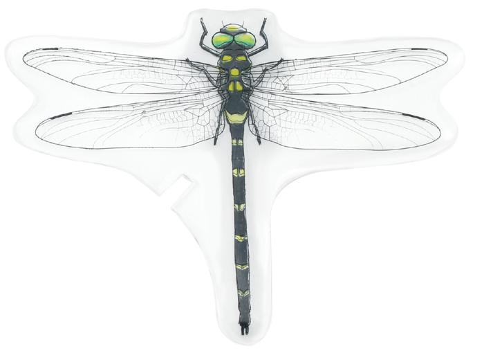 プラ板でつくる昆虫標本1