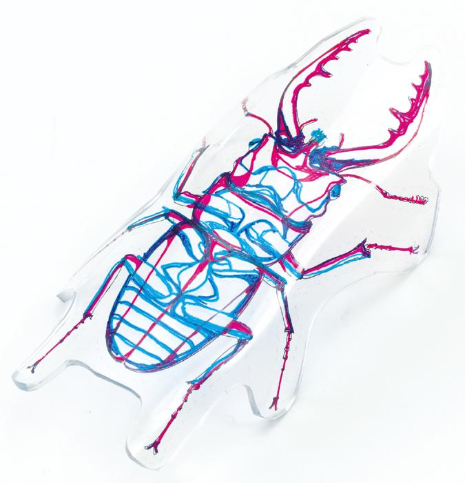 プラ板でつくる昆虫標本2