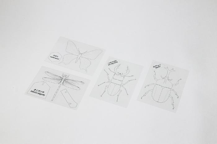 プラ板でつくる昆虫標本3