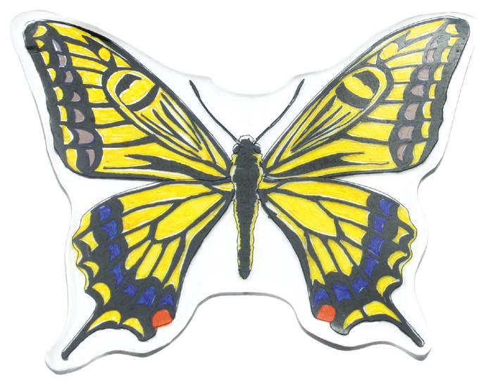 プラ板でつくる昆虫標本6