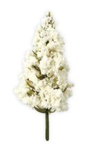 しげみつくる君　ホワイト