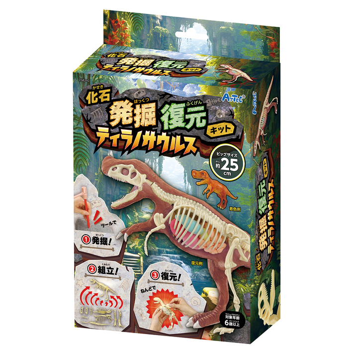 化石発掘復元キット　ティラノサウルス0