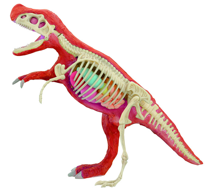 化石発掘復元キット　ティラノサウルス1