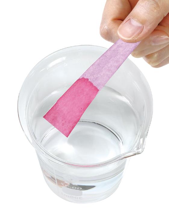 てのひら実験室リトマス試験紙（袋タイプ）1