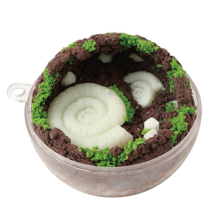 化石テラリウム1