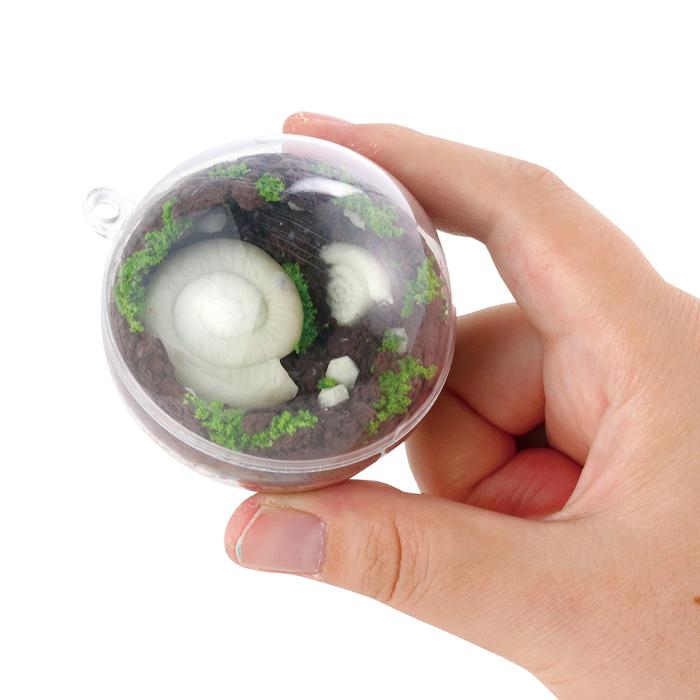 化石テラリウム4