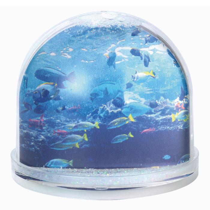 フォトスノードーム1