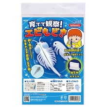 育てて観察！エビもどき