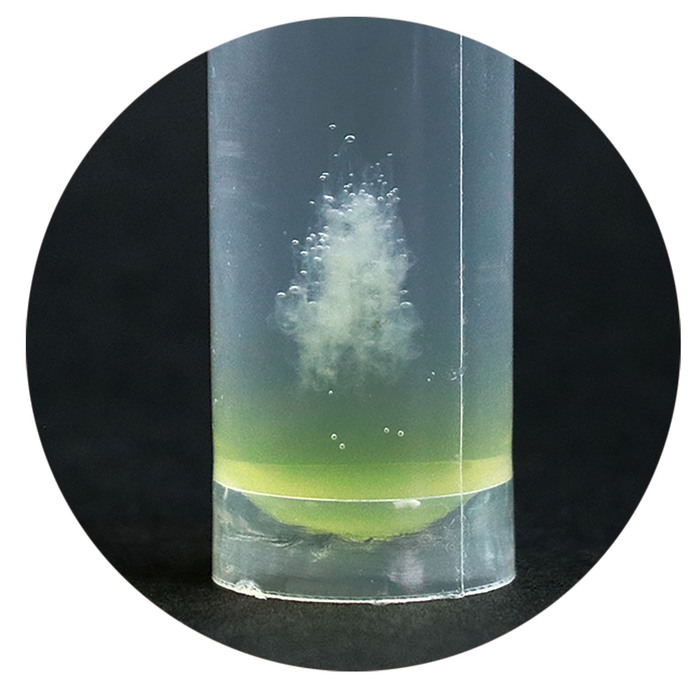 てのひら実験室 生命の設計図!?DNA抽出キット1