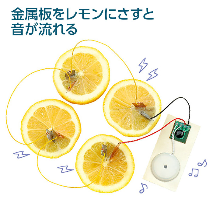 てのひら実験室　簡単！レモン電池キット1