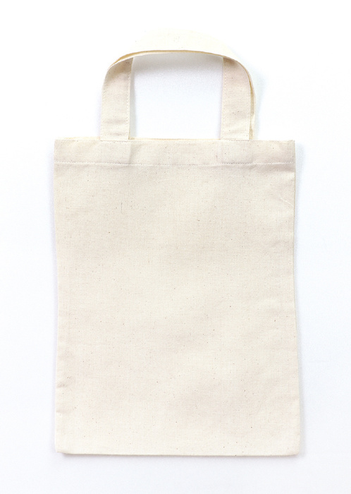 ワークショップ20人用セット　エコバッグ　B50