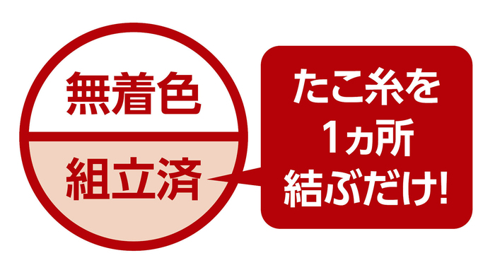 ワークショップ20人用セット ATぐにゃぐにゃ凧1