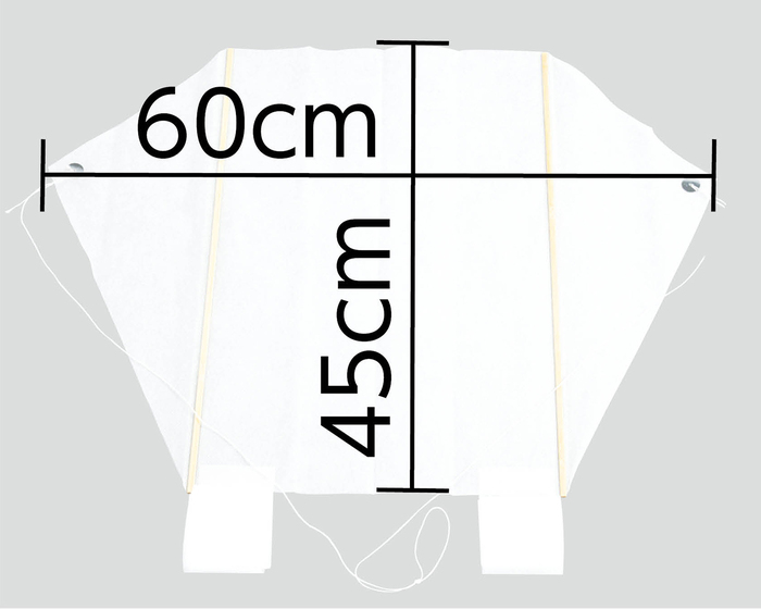 ワークショップ20人用セット ATぐにゃぐにゃ凧3