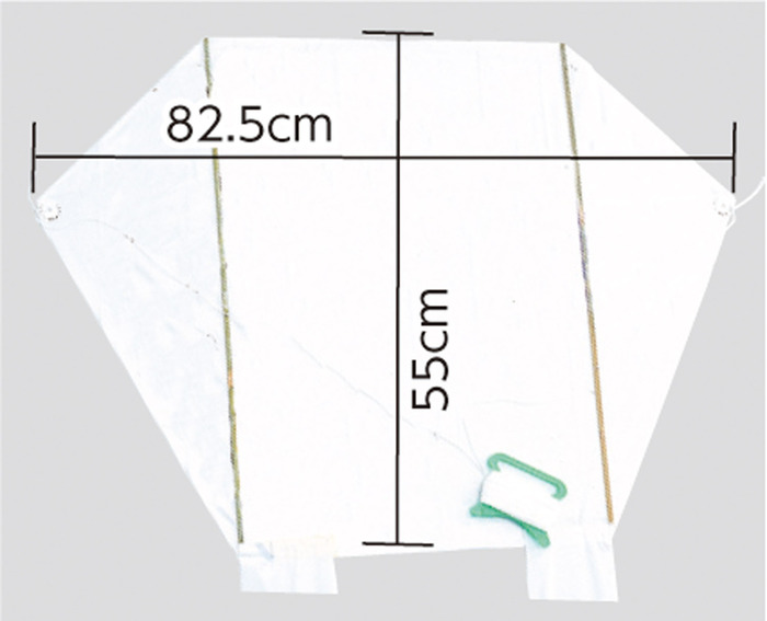 ワークショップ20人用セット　ぐにゃぐにゃ凧ビニール製3