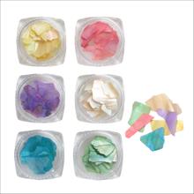 シェルフレーク　6種