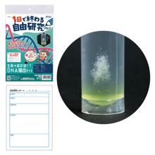 1日で終わる自由研究キット　生命の設計図　DNA抽出キット