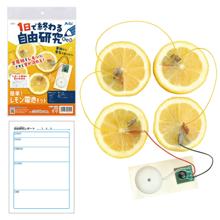 1日で終わる自由研究キット　簡単レモン電池キット