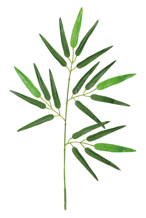 七夕用特大笹　2m　スタンド付13