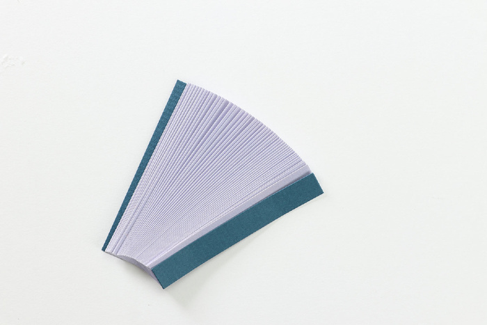 リトマス試験紙（赤・青　各50枚）10