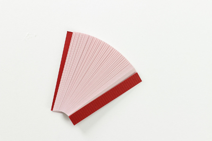 リトマス試験紙（赤・青　各50枚）11